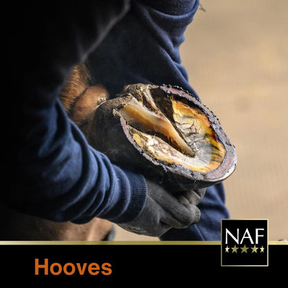 NAF Hoof Oil 500ml – Traditional Gloss Finish for Horse Hooves – Enhances Appearance & Maintains Hoof Health – Ideal for Daily Use & Show Preparation