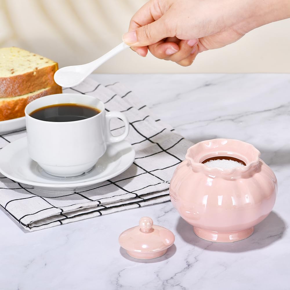 Ursword Iridescent Sugar Bowl, Porcelain Salt Cellar with Lid and Spoon, 9oz Sugar Jar for Coffee Bar, Salt Box Sugar Containers for Seasoning, Spice, Sauce, Elegant Decor for Kitchen Countertop