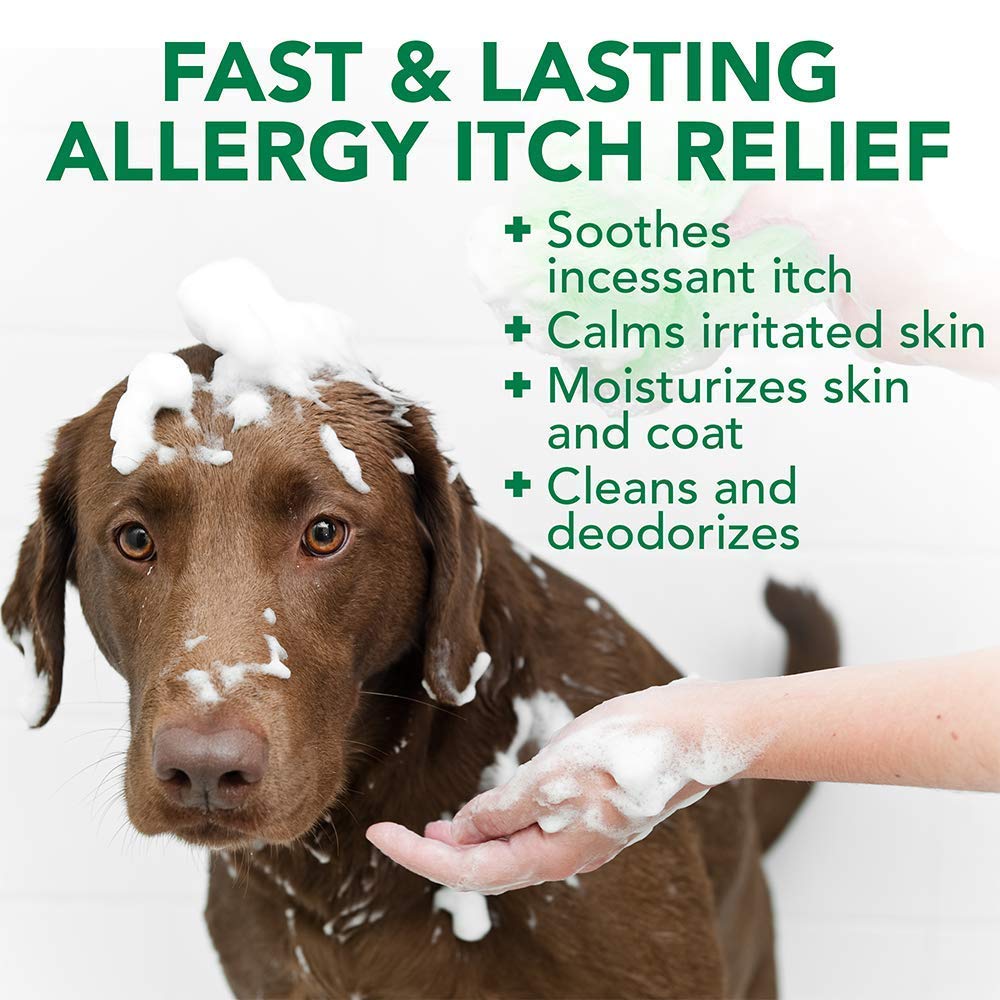 Vet's Best Allergy Itch Relief Dog Shampoo, Cleans and Relieves Discomfort from Seasonal Allergies, Gentle Formula 500ml