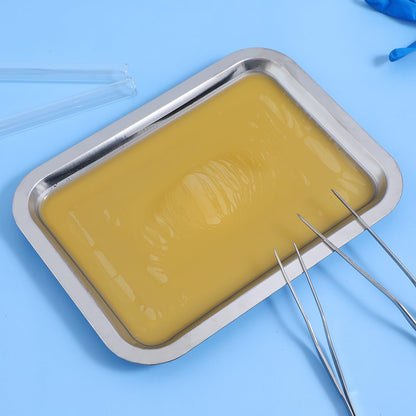 iplusmile 6 Set Dissection Pan with Wax, 10.2" x 7.5" Reusable Thicken Stainless Steels Dissection Kit for Laboratory Science Education & Medical Students Experiments