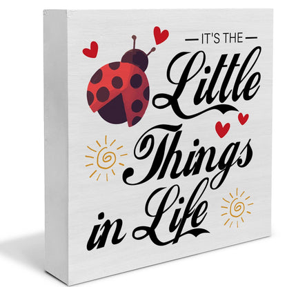 Farmhouse Little Things in Life Quote Wood Box Sign Decor Desk Sign Wooden Box Block Sign Rustic Home Shelf Wall Decor