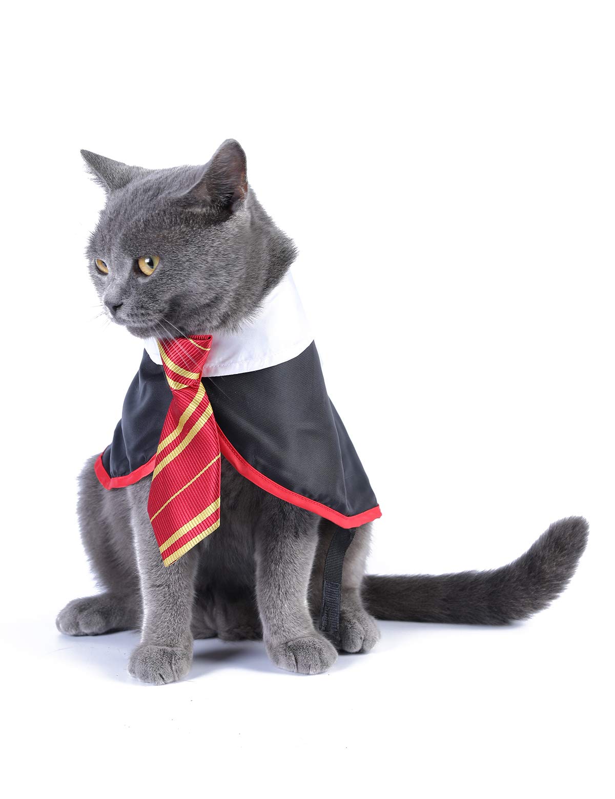 Impoosy Halloween Cat Costume Small Dog Wizard Pet Clothes Cute Apparel Puppy Shirts with Glasses (Small)