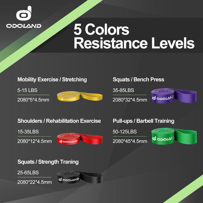 Odoland Pull Up Assist Bands, Pull Up Straps, Resistance Bands with Door Anchor and Handles, Stretch Mobility, Powerlifting and Extra Durable Exercise Bands with eGuide for Men and Lady C