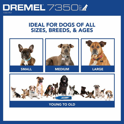 Bundle of Dremel 7350-PET 4V Pet & Dog Nail Grinder, Professional Pet Grooming Kit - Works on Large, Medium, Small Dogs & Cats + 416HP - Diamond Coated Rotary Nail Grinder Bit