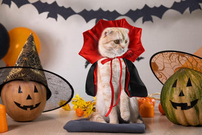 Vampire Cloak Cape Costume Clothes, Adjustable Red Black Pet Accessories Outfit Decor Cowl for Small Cats Dogs Animals Halloween Party Pet Cosplay