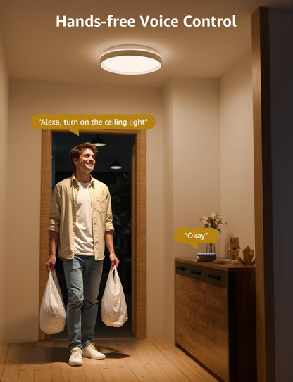 Lepro T1 AI Smart Ceiling Light 24W, Music Sync, Voice Control, AI Lighting Design Assistant, Waterproof Bathroom Light, DIY by Zone, Bluetooth&WiFi, Color Changing, Work with Alexa, Google Home, 29CM