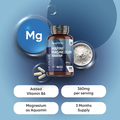 Weightworld Marine Magnesium with Vitamin B6 | 180 Vegan Capsules | 360mg per Serving | 3 Months Supply | Gluten-Free, Non-GMO & GMP-Approved | Magnesium Supplements | Made in The UK