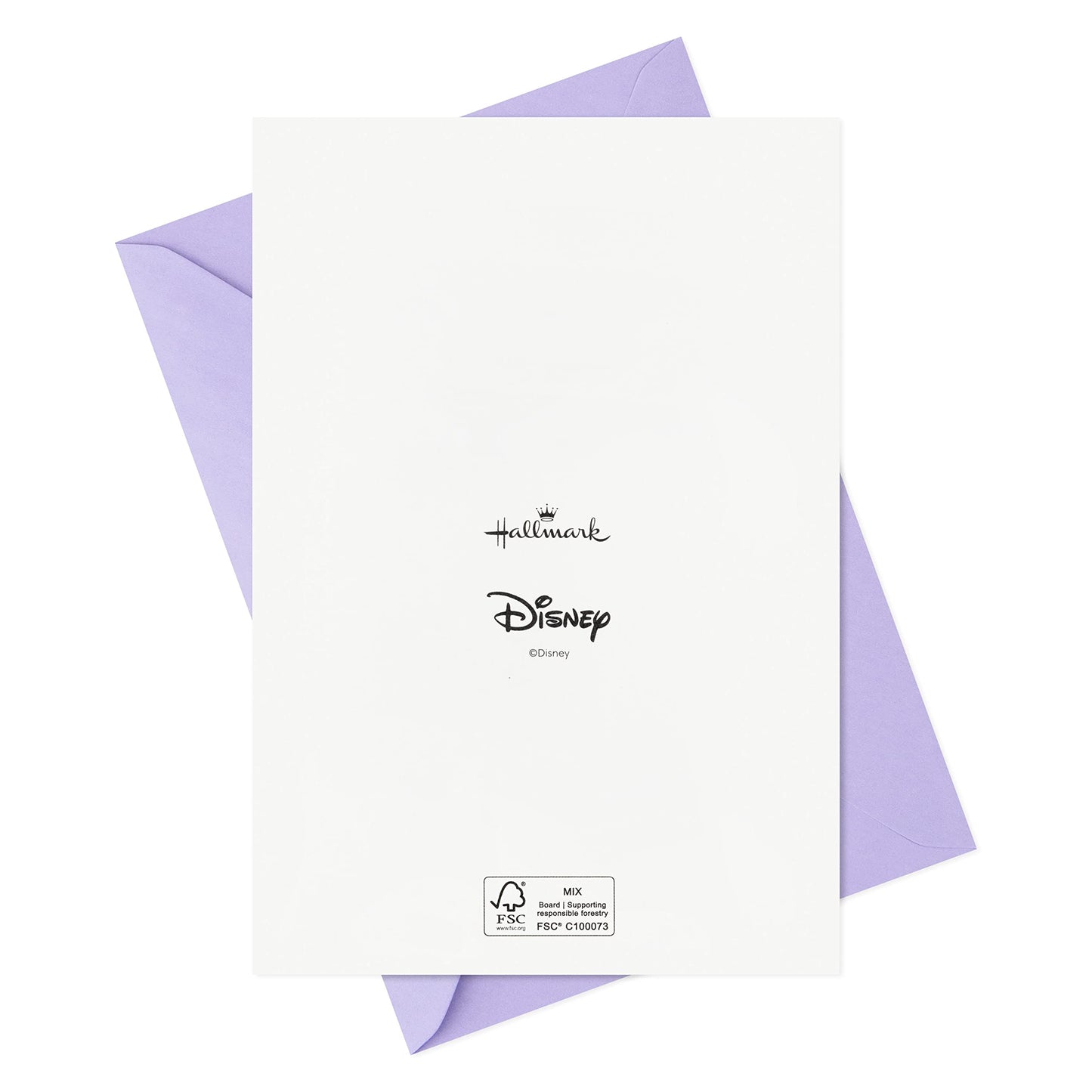 Hallmark Hocus Pocus Halloween Cards Assortment, Sanderson Sisters (16 Cards and Envelopes)