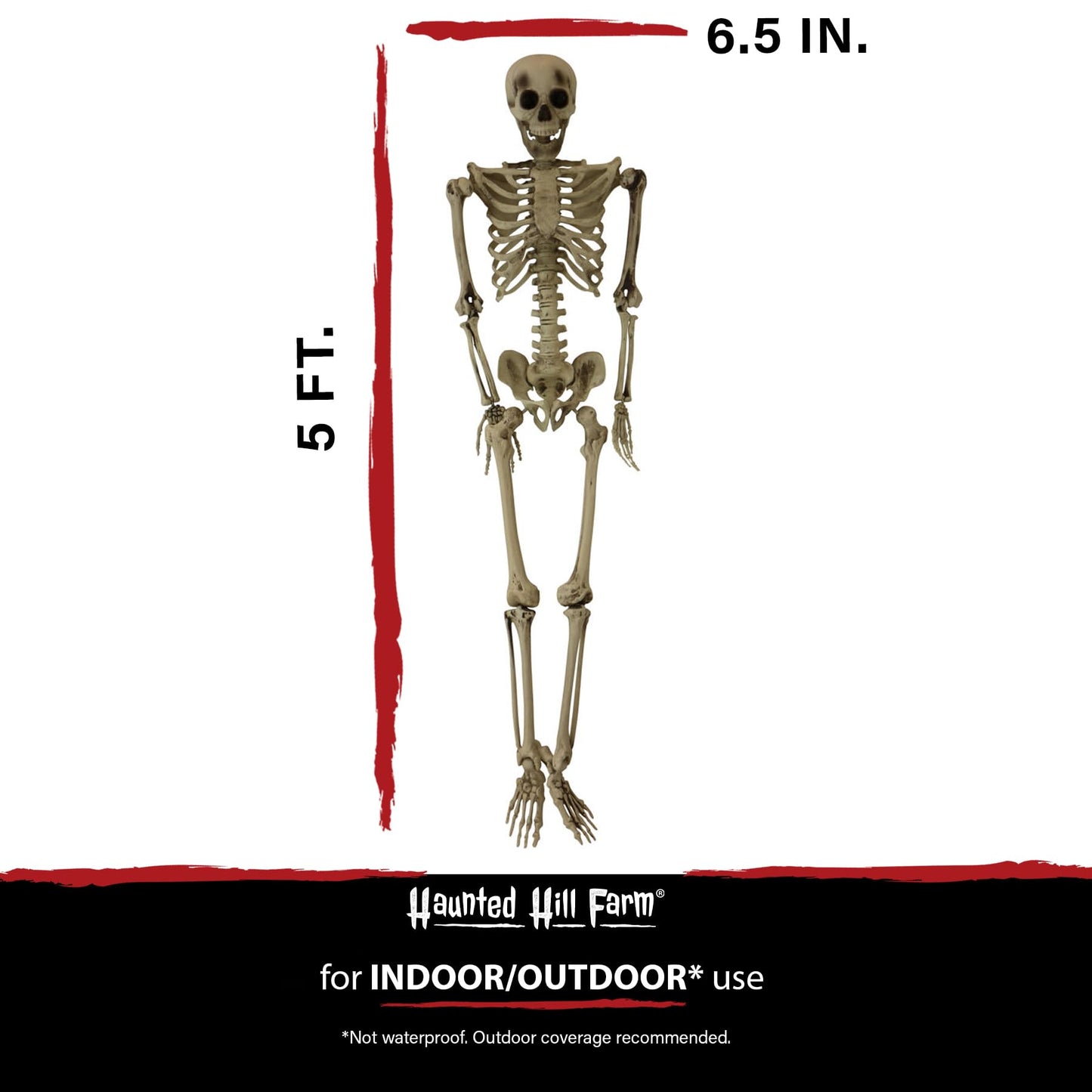 Haunted Hill Farm Life-Size Scary Skeleton Prop, Poseable, Battery-Operated Indoor or Covered Outdoor Halloween Decoration