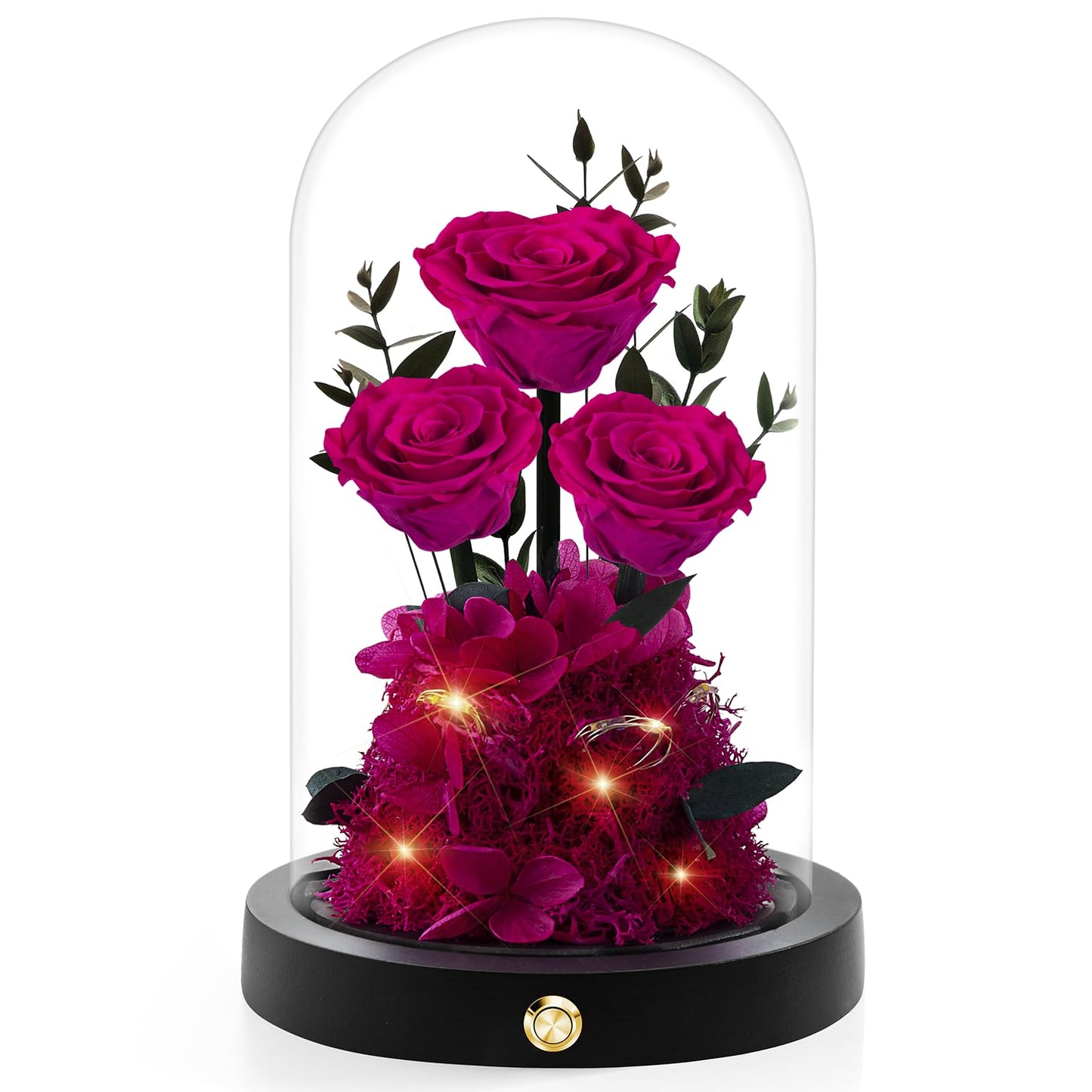 Valentines Day Flowers Roses Gifts for Her,Forever Real Preserved Roses in Glass Dome,Valentines Day Anniversary Birthday Gifts for Wife Girlfriend Women Mom Best Friend Her/Purple Rose