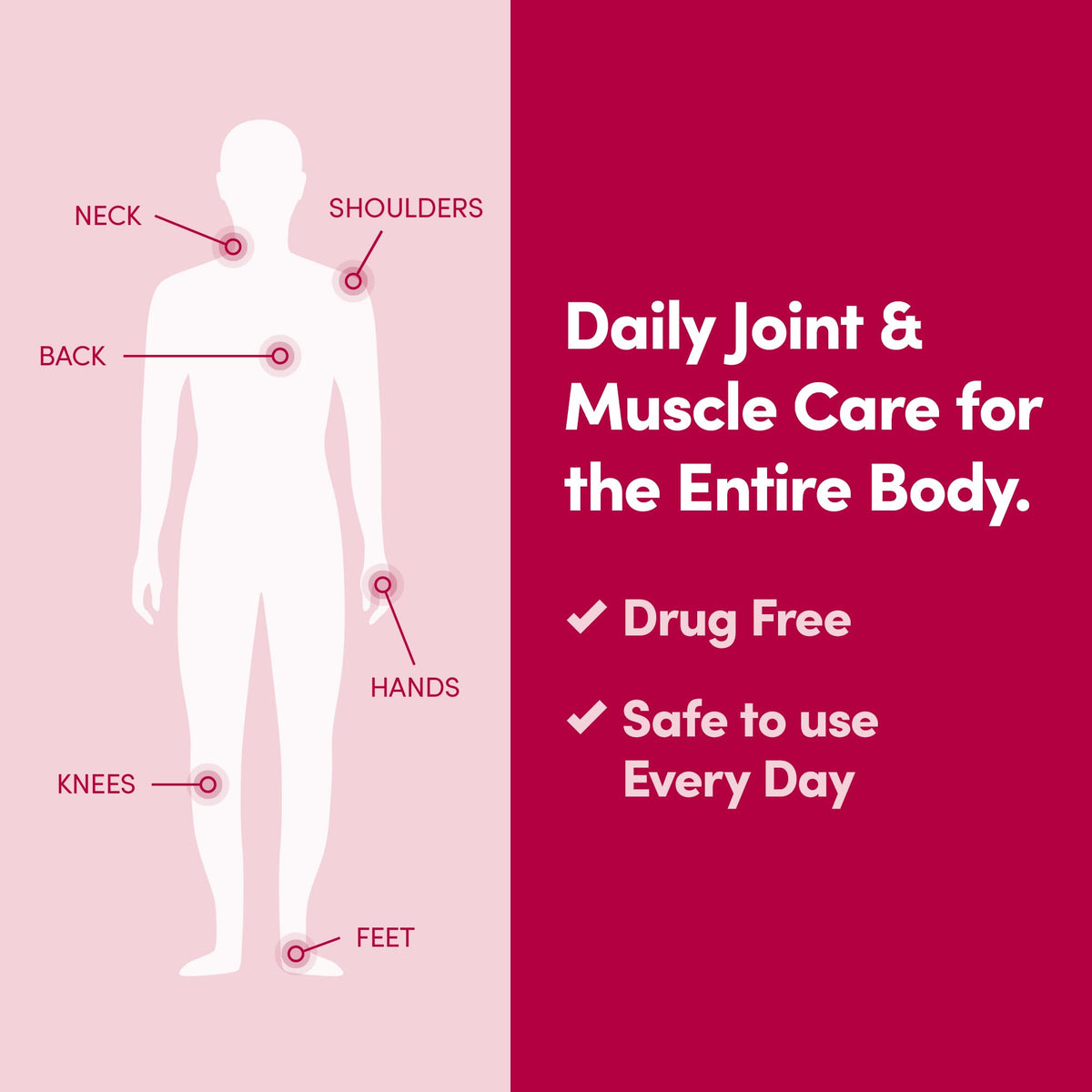 Penetrex Joint & Muscle Therapy - Soothing Muscle Rub for Back, Neck, Hands, Feet - Premium Whole Body Rub with Arnica, Vitamin B6 MSM & Boswellia - Non-Greasy 2oz Cream