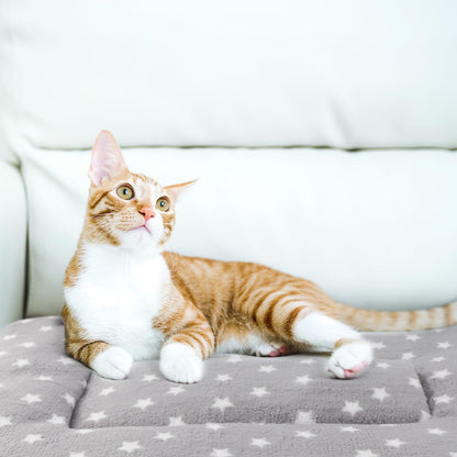 Tierecare 2 Pack Cat Blanket for Indoor Cats Ultra Soft and Warm Calming Cat Bed Fleece Pet Mat for Anxiety and Stress Washable Kitten Blanket