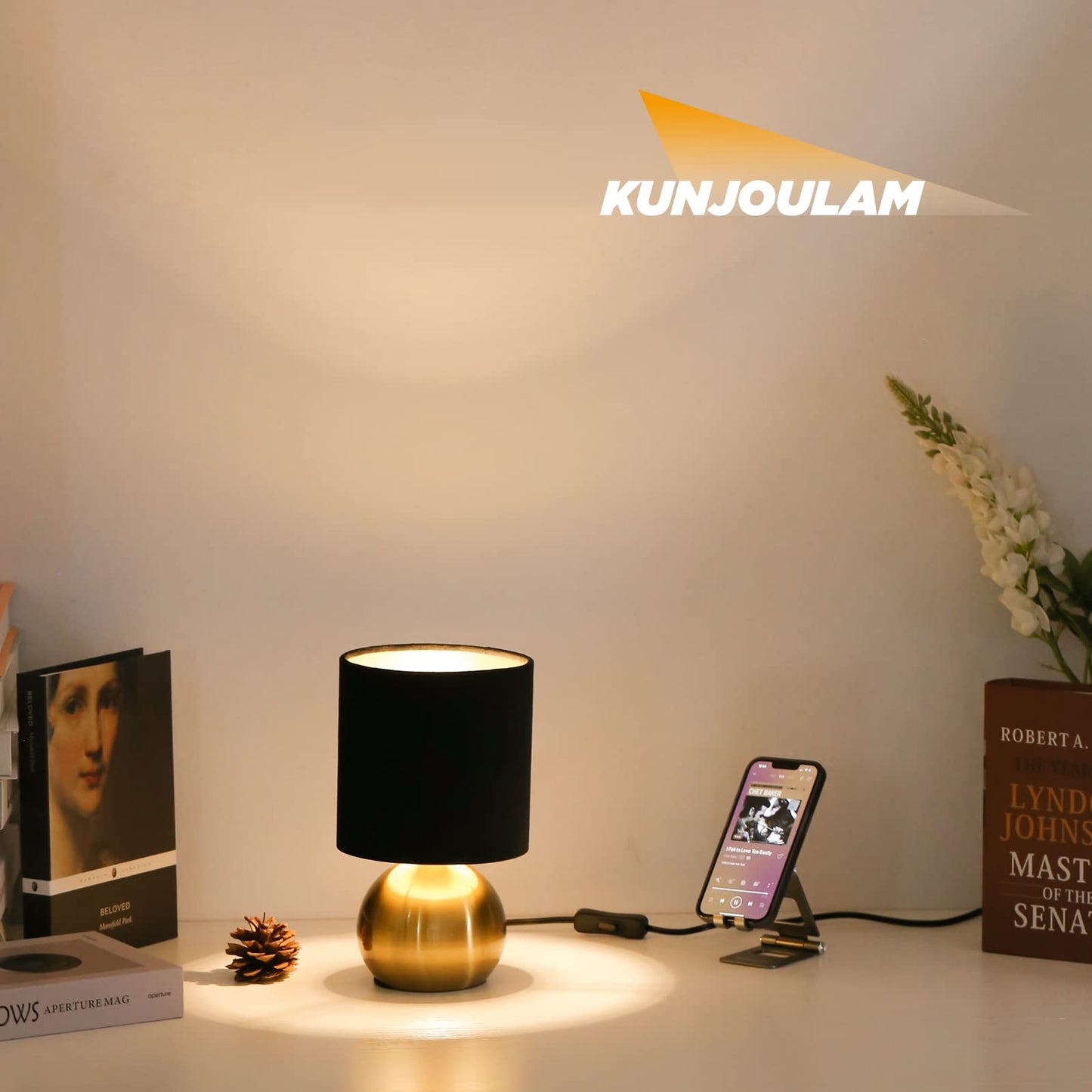 KUNJOULAM Small Bedside Lamp, Mid Century Lamp with Brass Base, Nightstand Table Lamp for Bedroom, Living Room, Bookshelf, Modern Accent Mini Table Lights Black Plastic Fabric Shade