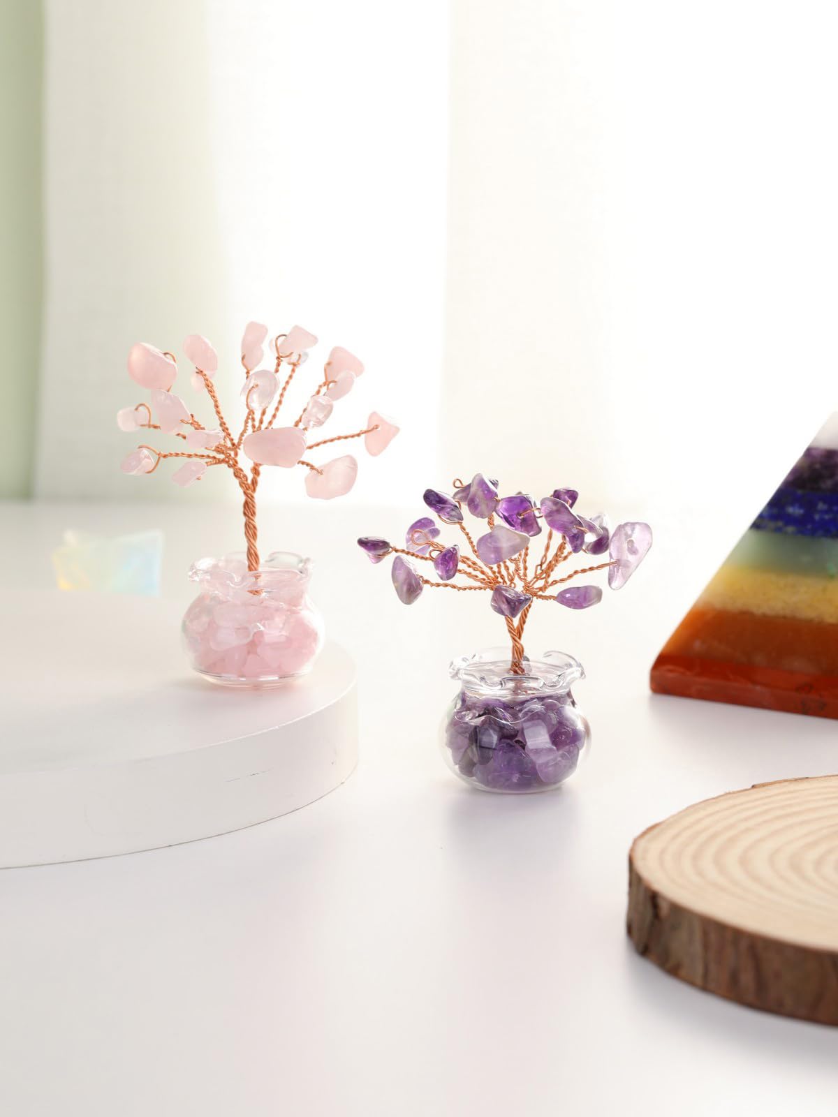 Jovivi 12pcs Chakra Crystal Tree Set Tree of Life Gemstone Money Trees with Glass Base,Natural Healing Crystals and Stones for Positive Energy Good Luck Home Office Decor for Women Mom Birthday Gifts