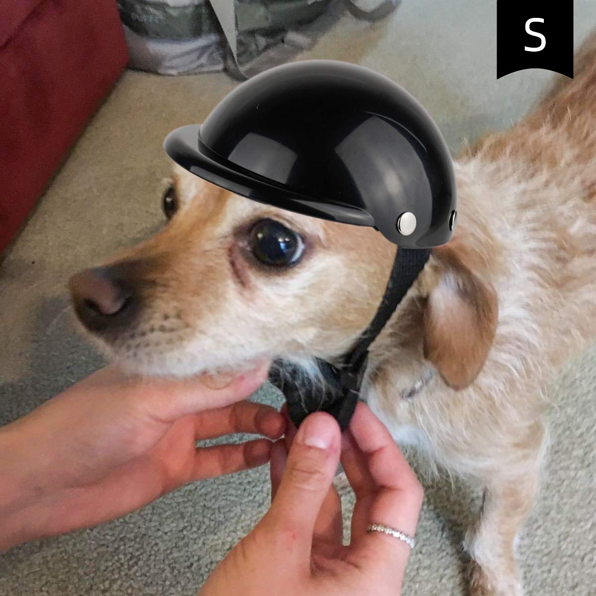 Enjoying Dog Helmet for Small Dogs, Motorcycle Dog Helmets Chihuahua Helmet, Outdoor Bike Doggie Helmets Cat Hat XS to Small Breed, Outdoor Puppy Cap, Adjustable, Black S