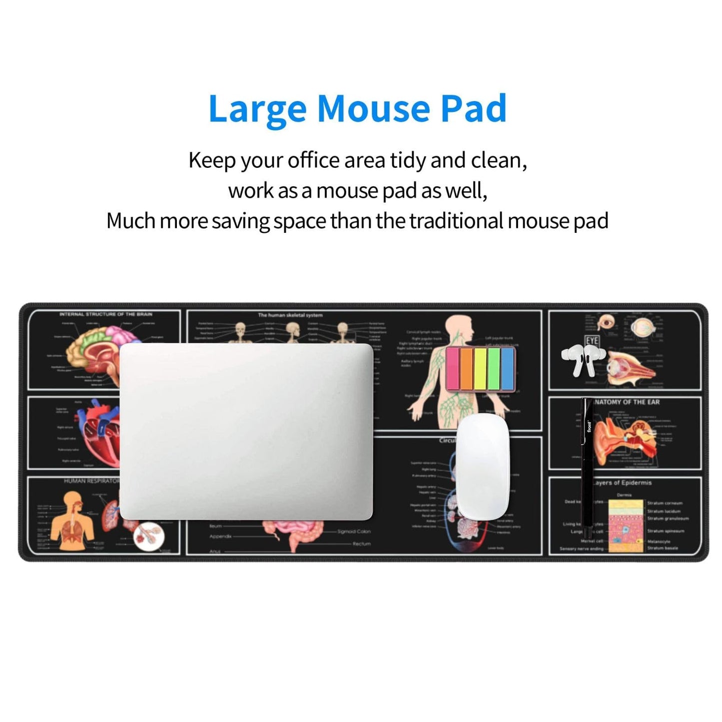 Medical Anatomy Human Physiology Medicine Doctor Assistant Anatomy Model Physiology Gaming Keyboard Mouse Pad Mousepad Desk Mat Huge Extended Xl Stitched Edge Rubber Sole For Home Office(31.5"X 11.8")