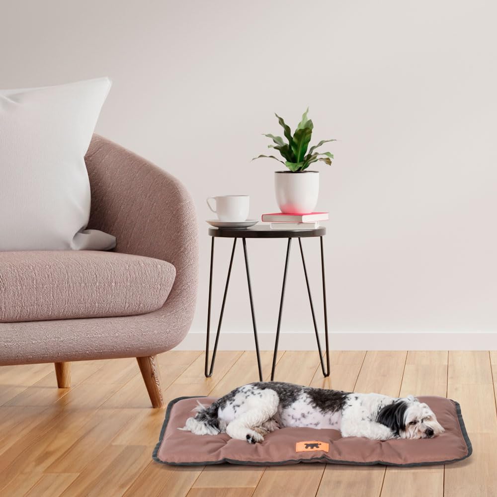 Ferplast Dog Mat & Cat Mat - Dog Bed Small Washable - Dog Mattress - Waterproof & Scratchproof - Mat For Cars, Dog Houses, Kennels and Dog Baskets - Soft Dog Bed - Jolly - 57 x 38 CM, S, BROWN