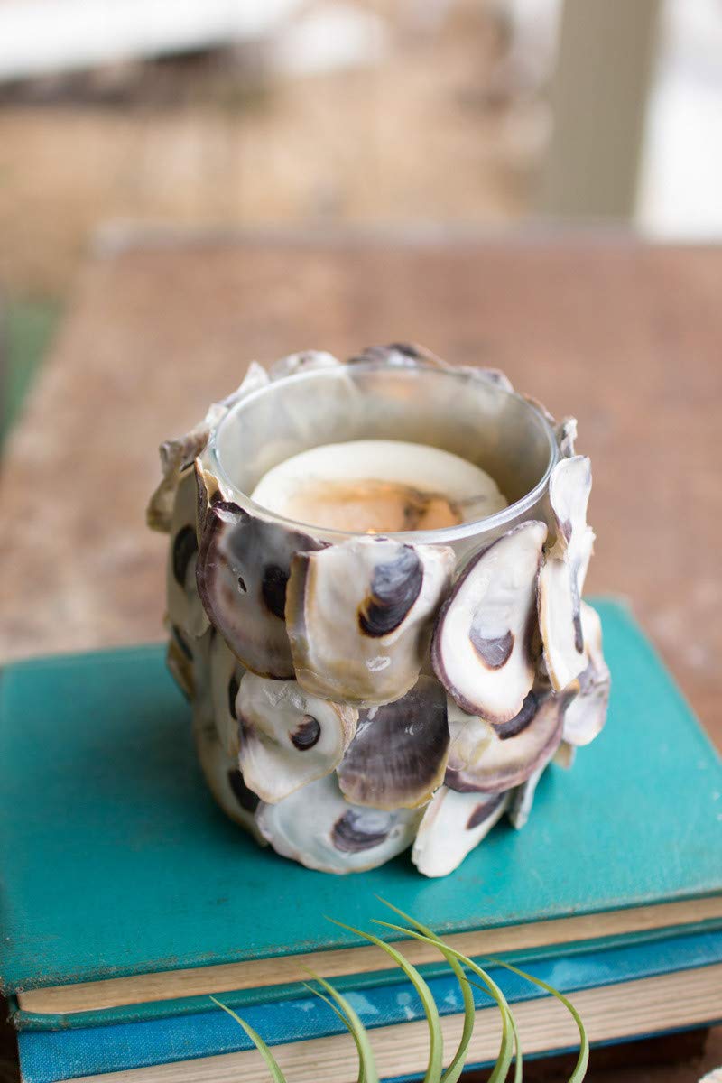 Kalalou Oyster Shell Round Candle Holder, One Size, Off-White