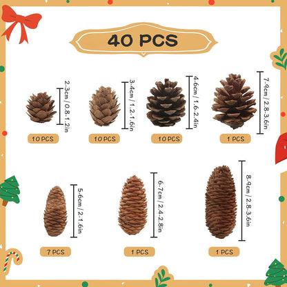 40 PCS Rustic Pine Cone Decorations - Large, Medium and Mini Sizes for Table, Tree and Home Decor