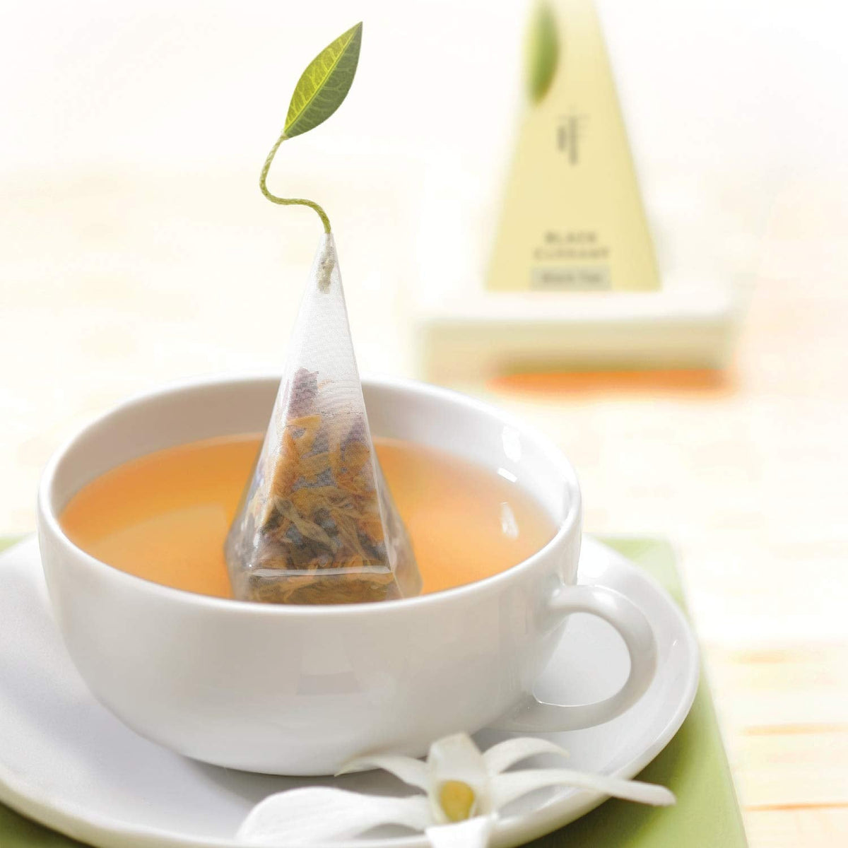 Tea Forte Premium Petite Presentation Box Gift Set Sampler, 10 Count, 2 of Each Blend Individually Wrapped Handcrafted Pyramid Infuser Bags, Herbal Retreat Tea