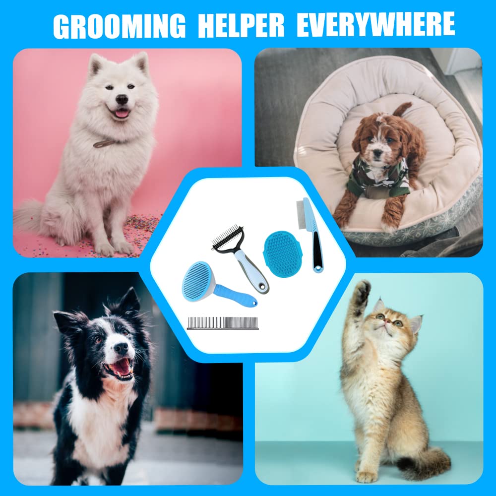 MASTER QUEEN Dog Brush Grooming Kit 5PCS - Dog Brushes for Grooming, Dog Brush for Shedding,Puppy Brush and Flea Comb for Dogs, Slicker Brush Comb and Dog Hair Brush Set Blue