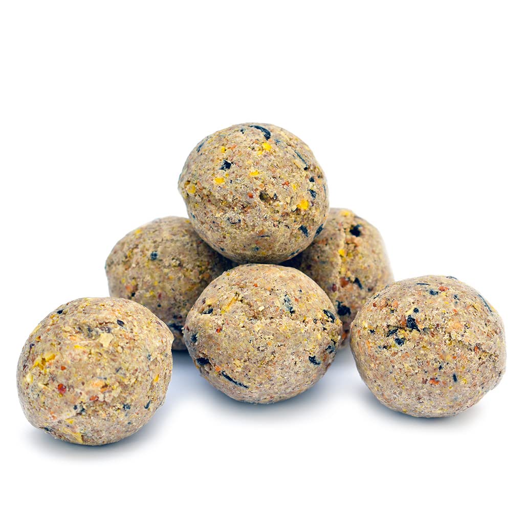 Peckish Natural Balance Energy Suet Fat Balls for Wild Birds, 50 Tub, 27 x 27.5 x 19 cm