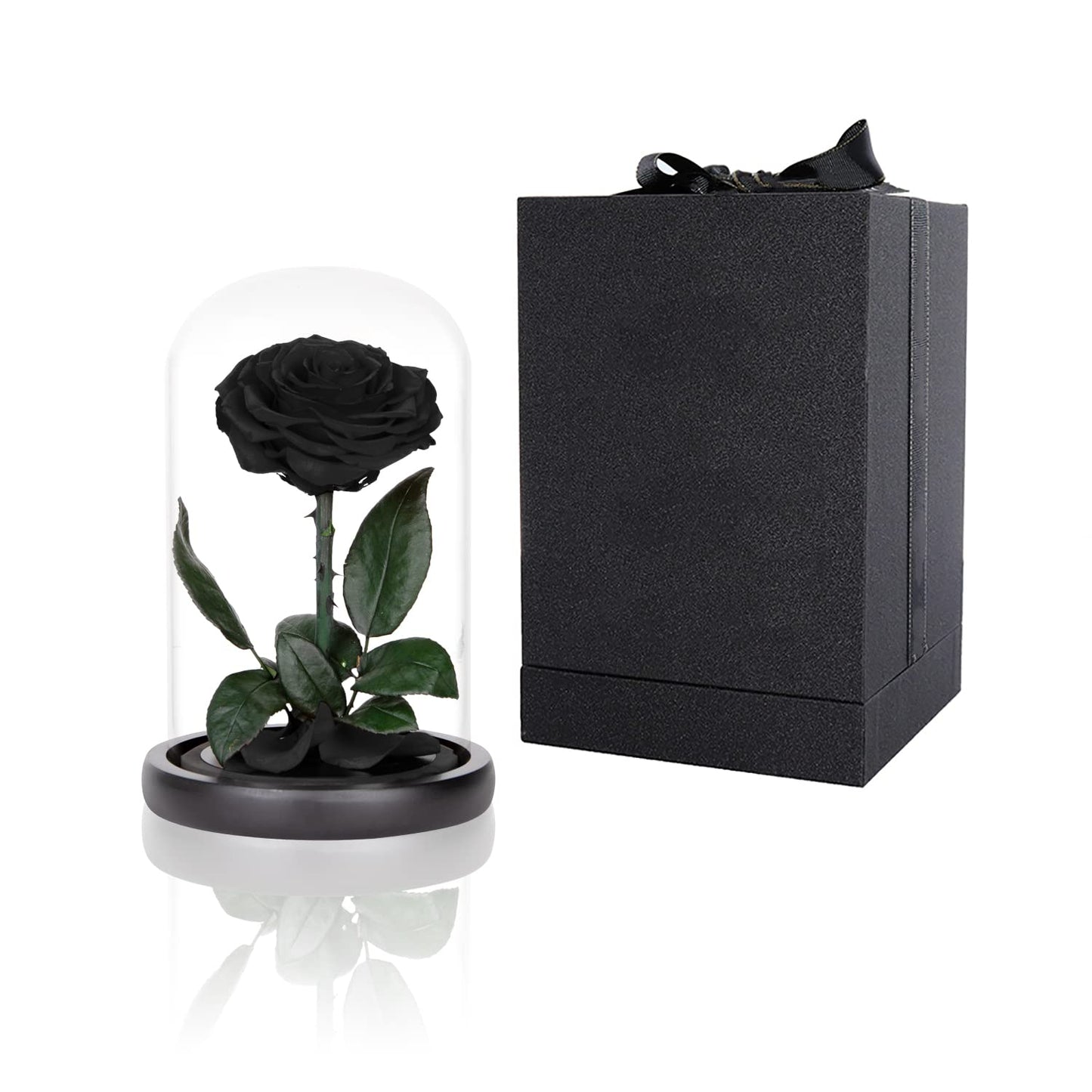 Preserved Roses Black Roses in Glass Dome, Medium, Preserved Flowers for Mothers Day, Gifts for Women