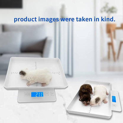 MINDPET-MED Digital Pet Scale for Small Animals, High Precision 1g, Suitable for Newborn Pets