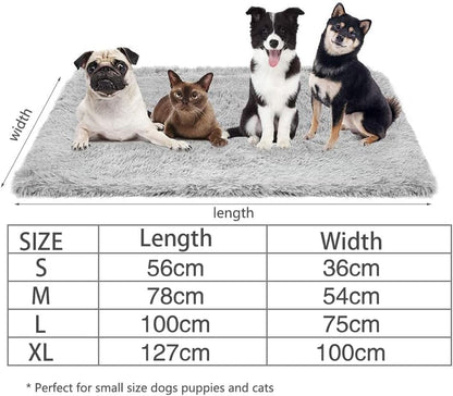 CHMMY Fluffy Dog Blanket, Soft Cat Blanket, Fleece Blanket, Washable Dog Blankets for Sofas, Soft Warm Mat for Pets, Dogs, Cats, Puppies 75 x 100 cm