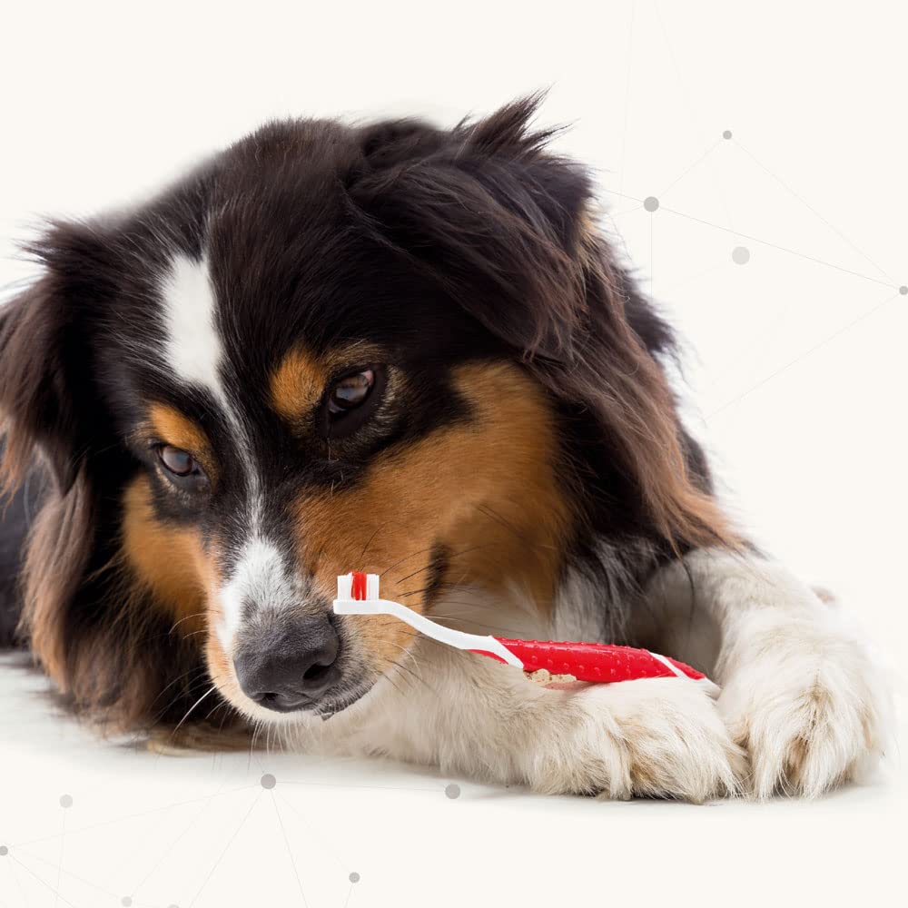 Beaphar Toothbrush & Toothpaste Kit