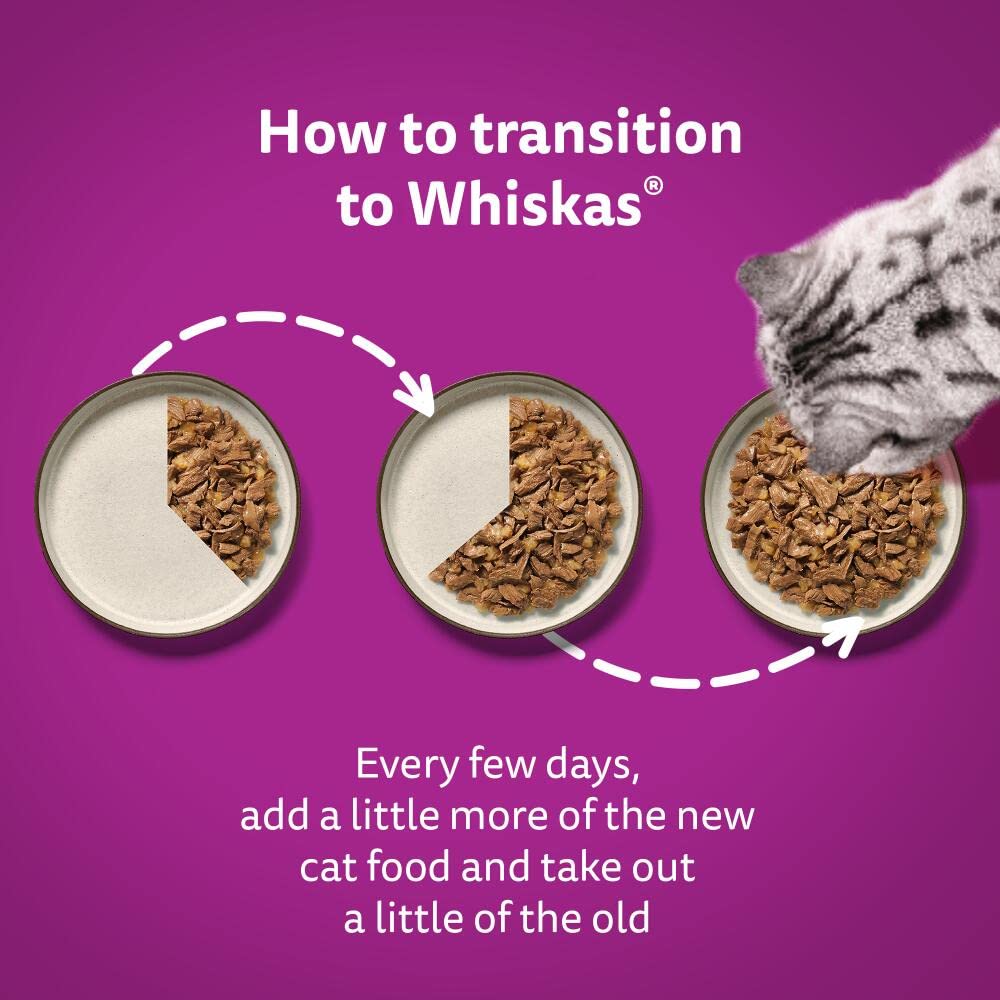 WHISKAS - 1+- Adult Wet Cat Food Pouches - 40 x 85 g - Surf and Turf in Jelly - Bulk Cat Food Megapack - 40 Pouches
