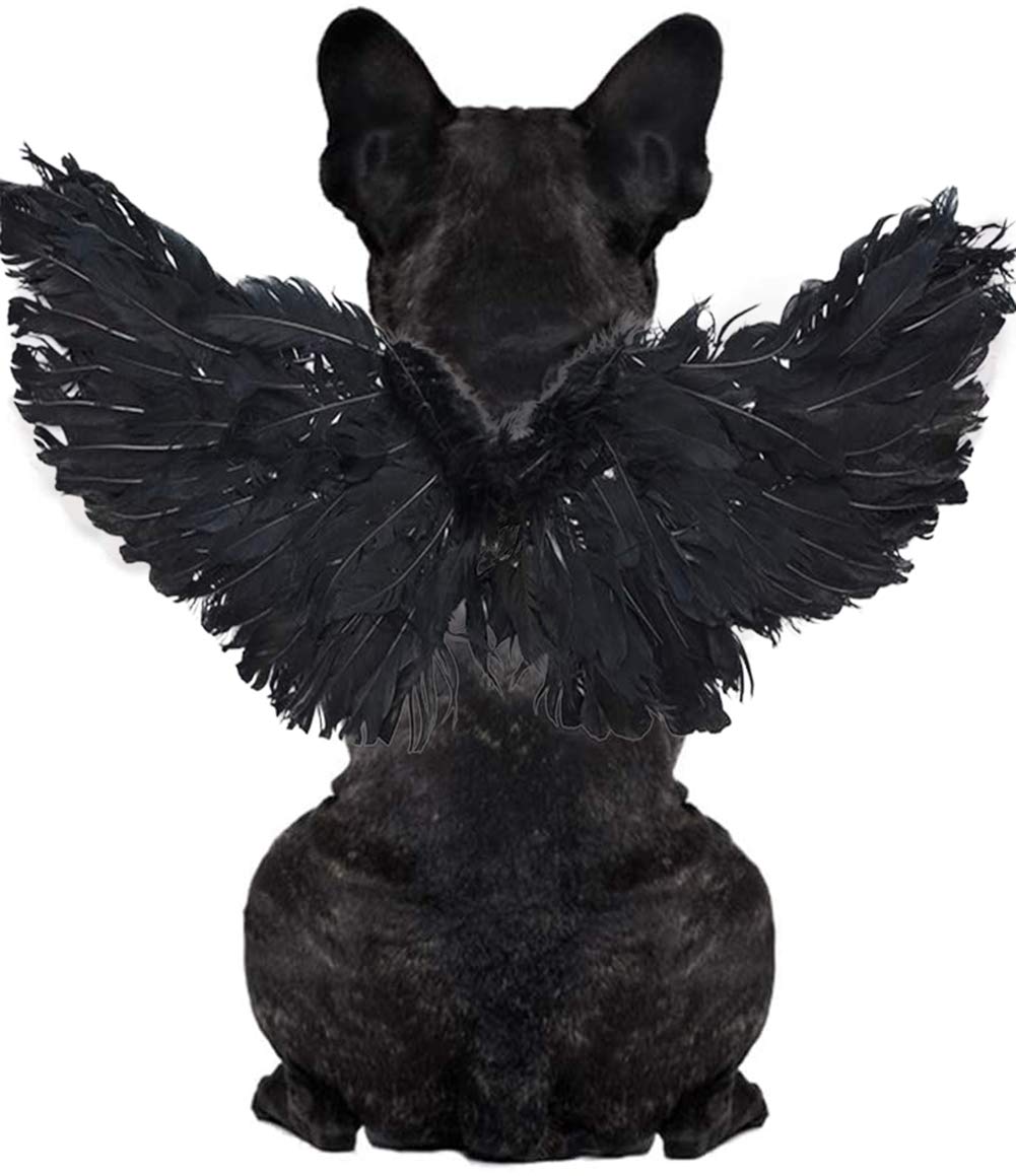 WeeH Pet Halloween Costume Cosplay Angel Devil Black White Wing for Dog Cat Rabbit Piggy - Funny Gift at Halloween Party Anime Theme Birthday Christmas (Black, Small)