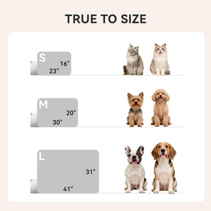 LINENLUX 1 Pack 3 Blankets Super Soft Fluffy Premium Fleece Dog Blankets for Puppy Cat Pet Blanket Flannel Throw Warm Sleep Bones and Claws 31x20 inches