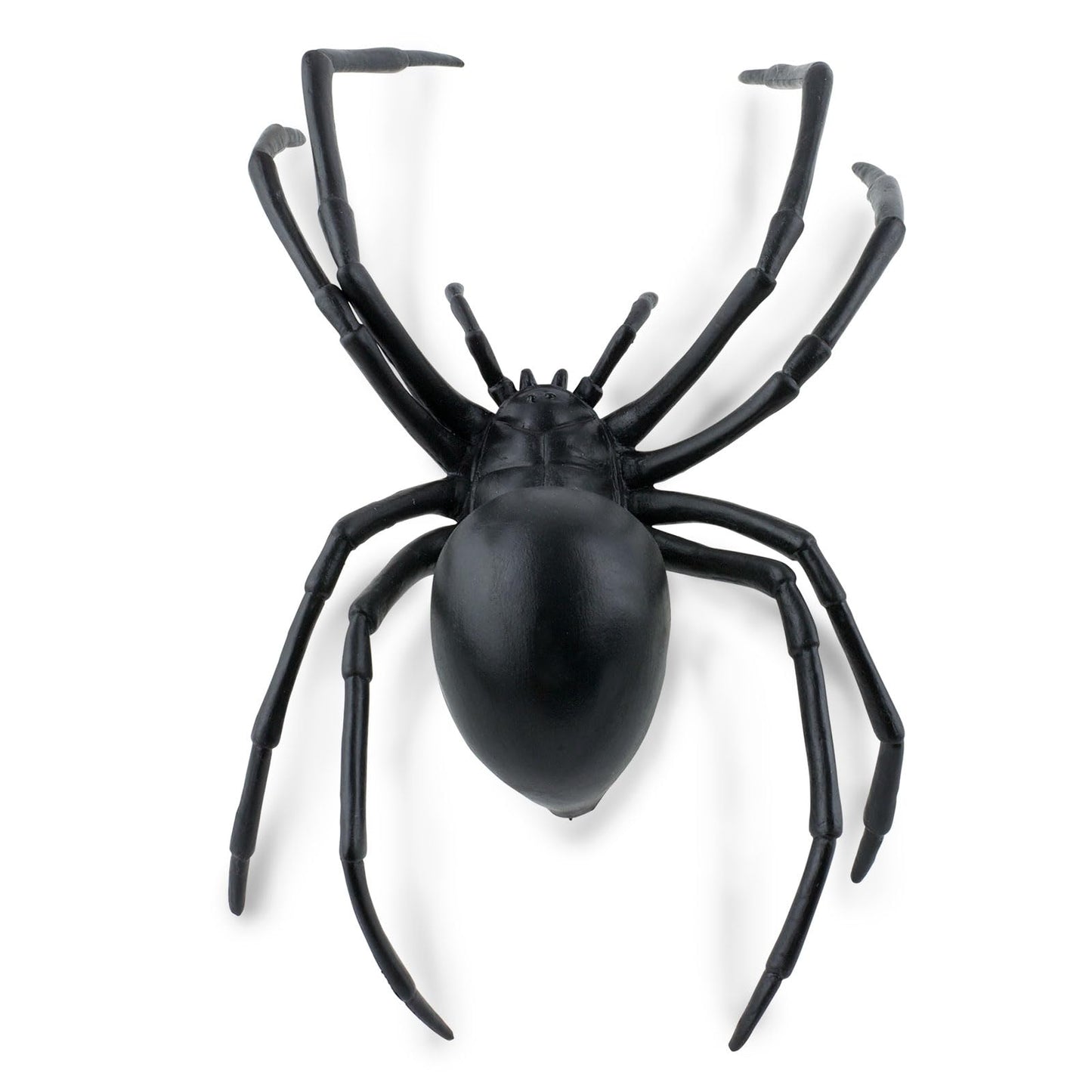 Safari Ltd. Black Widow Spider Figurine - Realistic 6.5" Arachnid Figure - Educational Toy for Boys, Girls, and Kids Ages 3+