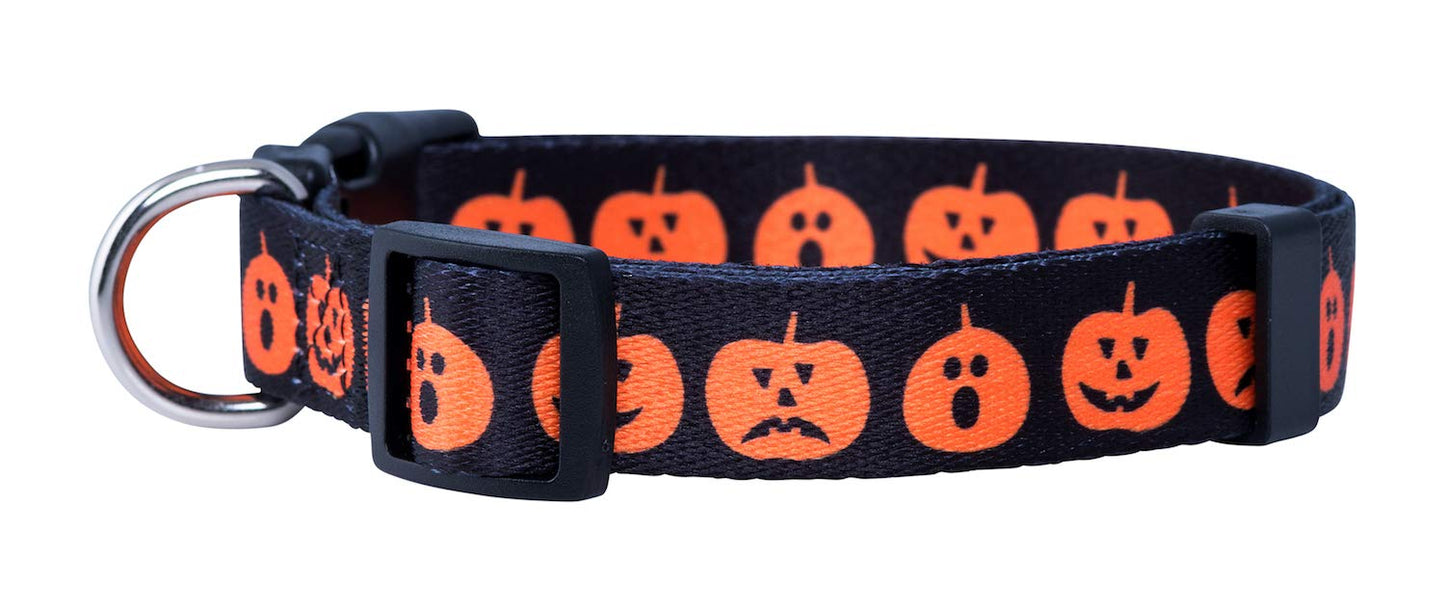 Native Pup Halloween Dog Collar- Spooky Fall Themed Horror Costume Collars- Skull, Pumpkin, Ghost, Bat, Witch, Candy Corn, Spider- Adjustable for Small, Medium, Large Breeds (Small, Big Pumpkins)
