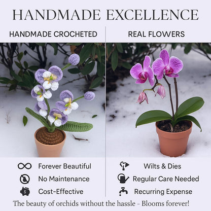 beausougon Handmade Crochet Orchid Potted Plants, Knitted Artificial Forever Flowers with Exquisite Pot, for Friends, Women, and Kids, Ideal for Home Decorations and Office Desks