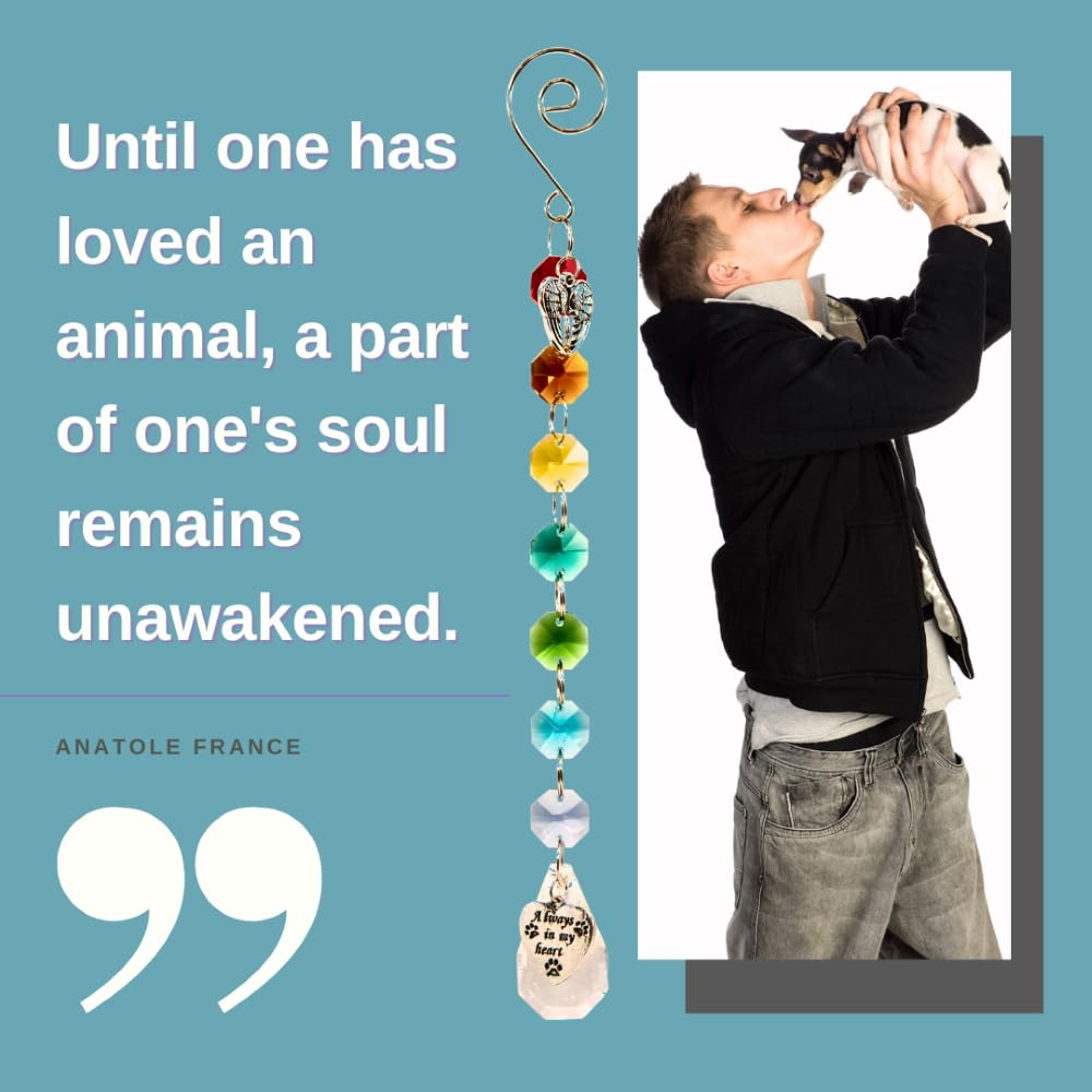 Pet Perennials Pet Memorial Suncatcher – Crystal Rainbow Prism with Angel Wings & Paw Print Charm – Cat and Dog Loss Gifts for Window Display – Memorial Ornament for Remembrance