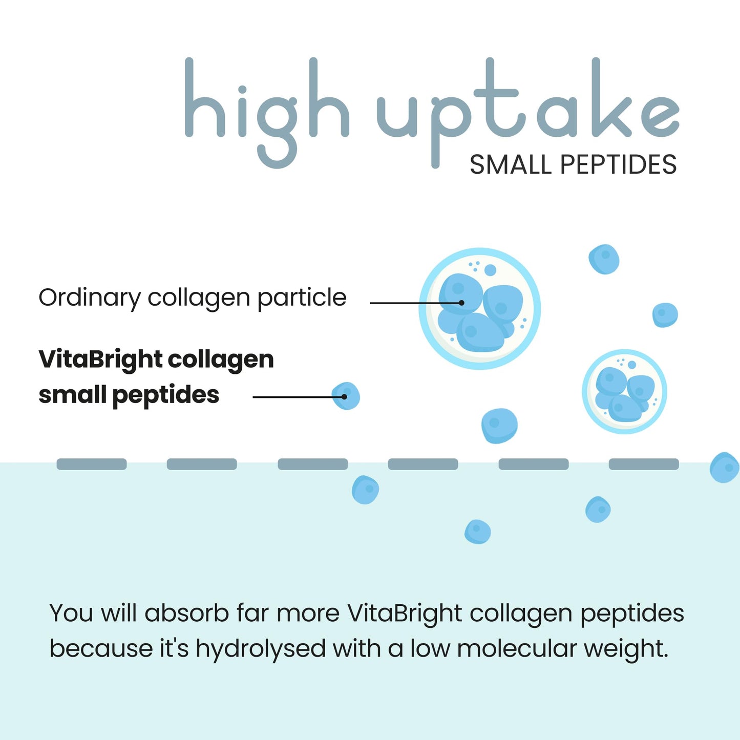 Bovine Collagen Powder 500g | 50 Servings | Highly Bioavailable Hydrolyzed Collagen Supplements for Women | Bovine Pure Peptides Powder High Strength Supplements for Women & Men | VitaBright