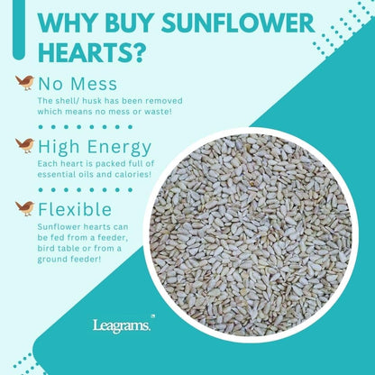Leagrams Premium Sunflower Hearts 20kg