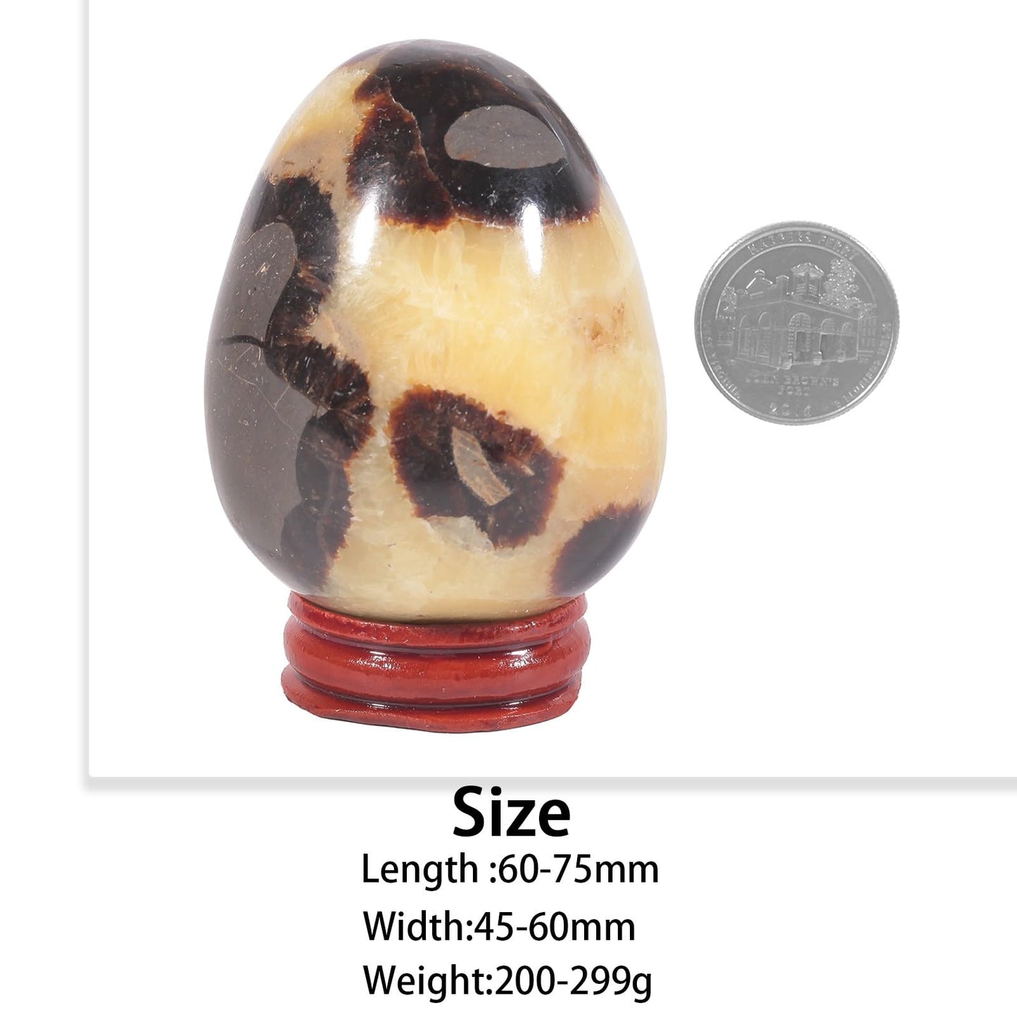 SUNYIK Natural Septarian Dragon Crystal Egg with Wooden Stand, Polished Oval Stone Egg Feng Shui Decoration Home Office Specimen for Easter Day, 2.4-2.95"