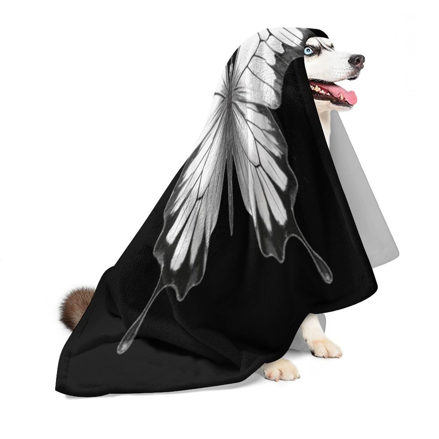 Joyidec Black White Butterfly Super Soft Winter Comfy Throw Blanket Flannel Fleece Lightweight Blanket for Couch Car Bed 50x60 in