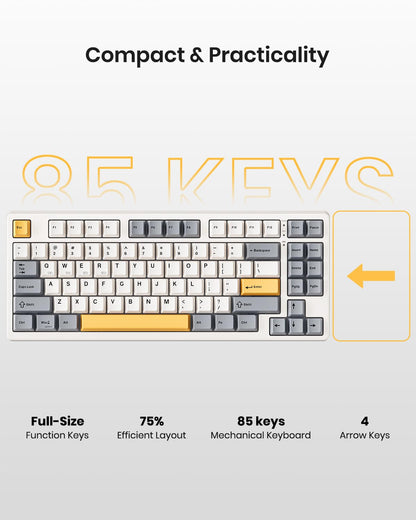 Kisnt Wireless Mechanical Keyboard,Gasket Mounted with Creamy Sound,Bluetooth/2.4GHz/USB-C,Custom Hot Swappable,RGB Backlit,75% Compact Layout for Gaming/Typing/Win/Mac/PC (Retro Beige,Linear Switch)