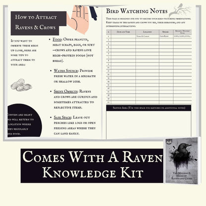 Raven and Crow Table Lamp - Valentines Goth Themed Gifts Lamp – Gothic Desk Lamp with LED Bulb – Nevermore Inspired Edgar Allan Poe Gift for Library or Bedroom - Dark Academia, Witchy, Viking Decor