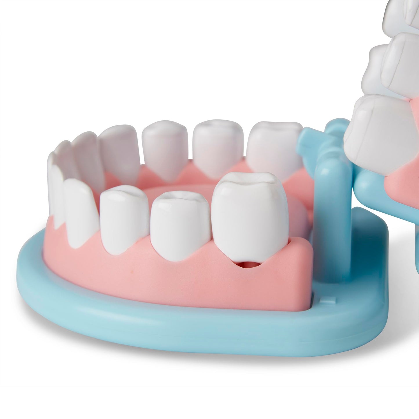 Melissa & Doug Smile Dentist Kit for Kids Role Play Toys for 3+ Year Old Girls, Educational Toys for 3 Year Old Boys, Montessori Toys Age 3