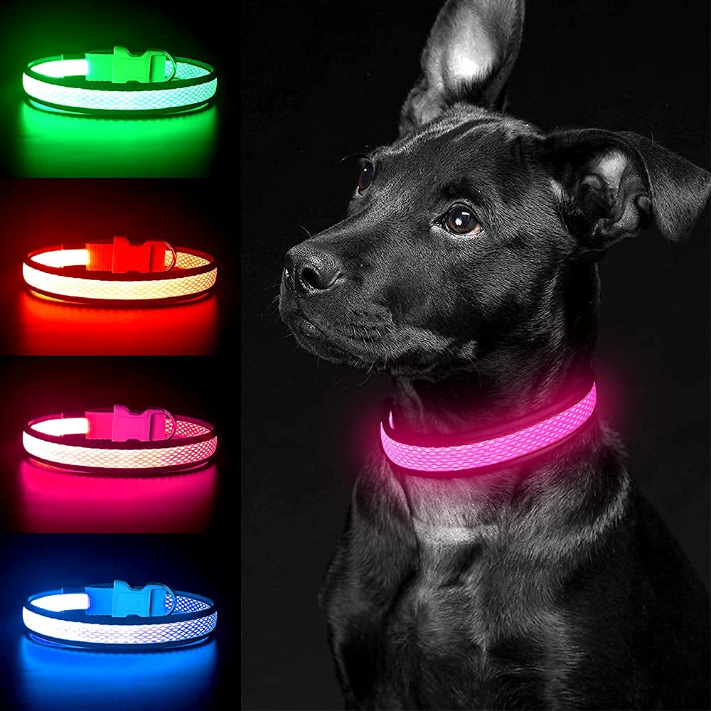 YFbrite Light up Dog Collar, Rechargeable LED Dog Collar, Flashing Dog Collar, Adjustable Reflective Dog Collar Safety Glowing at night (Pink, Medium)