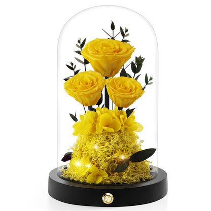 Valentines Day Flowers Roses Gifts for Her,Forever Real Preserved Roses in Glass Dome,Valentines Day Anniversary Birthday Gifts for Wife Girlfriend Women Mom Best Friend Her/Purple Rose