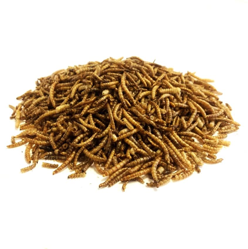 Dried Mealworms 2kg Premium Insectivorous Wild Bird Food