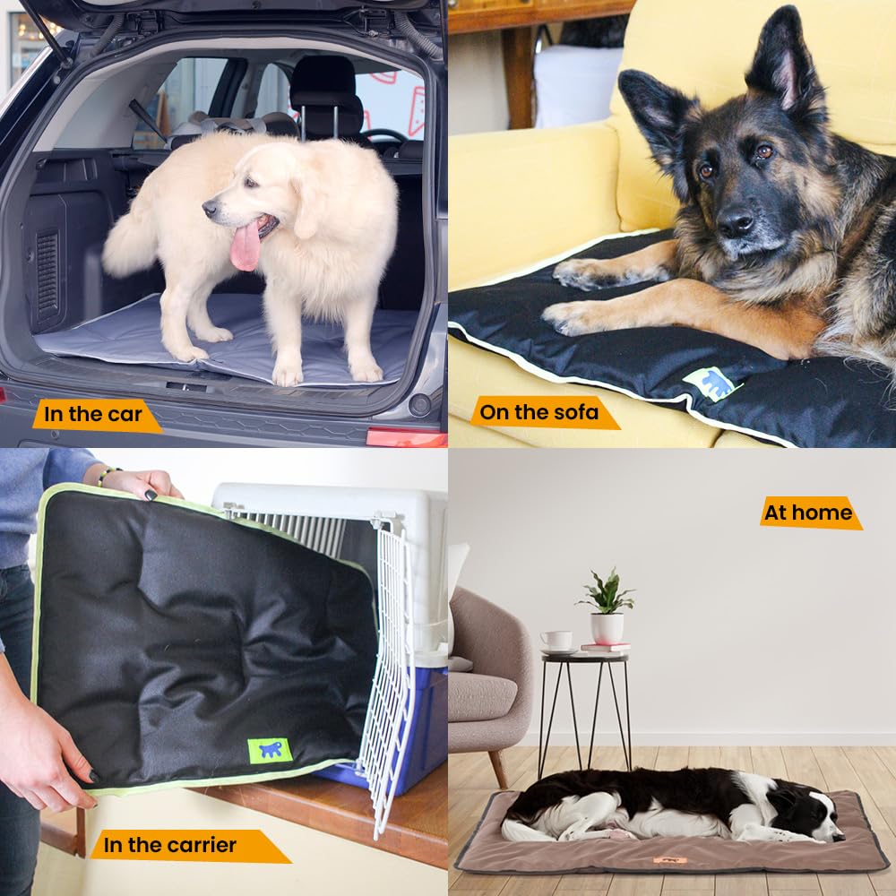 Ferplast Dog & Cat Mat - Washable Dog Bed - Waterproof & Scratchproof - Soft Mat for Cars, Kennels & Baskets - Jolly - 65 x 48 CM, SM, BLACK