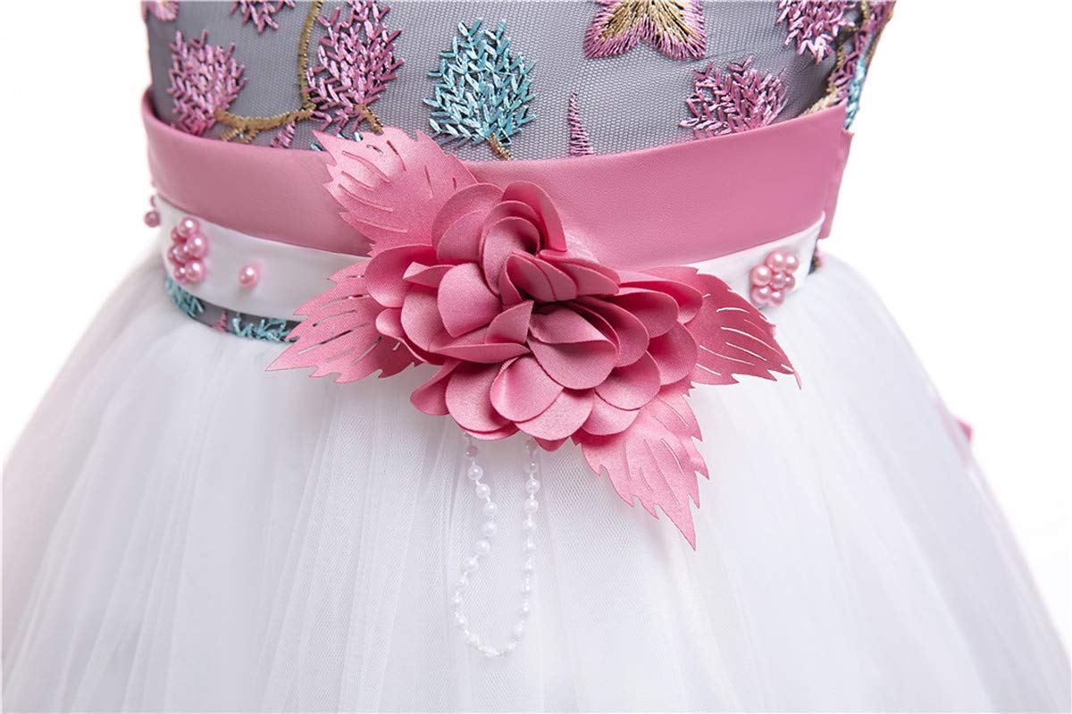 NSSMWTTC Flower Girls Dresses Frocks Child Easter Pageant Party Baby Toddler Easter A Line Dress 9M 12 Months (Pink,12M)