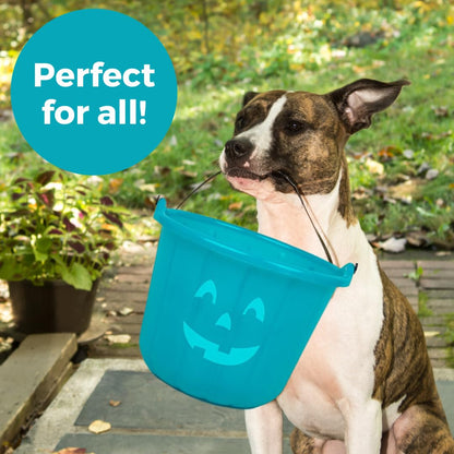 Teal Pumpkin Halloween Trick or Treat Bucket 8.5 in (1 Pack)-Official Teal Pumpkin Project Allergy-Friendly Candy Pail Accessory and Party Decoration Supplies, Haunted House Plastic Bowl w Handle